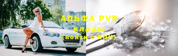 индика Переславль-Залесский