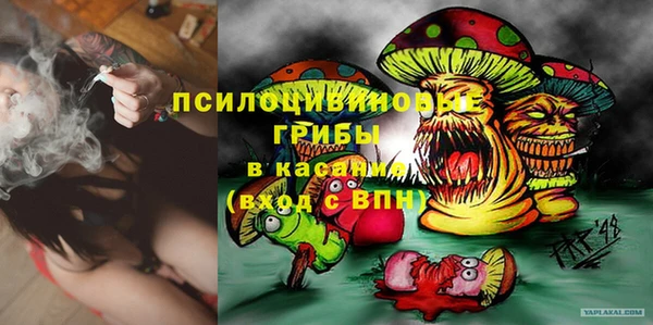 герыч Пересвет