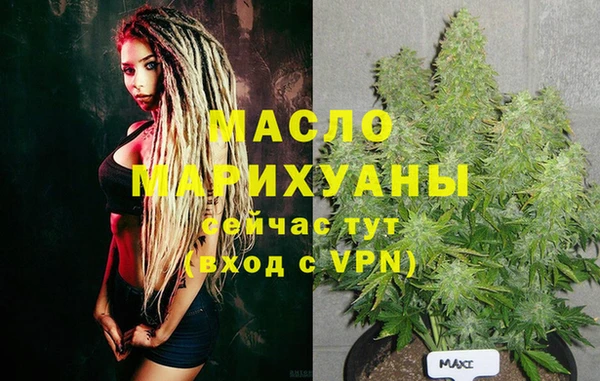 индика Переславль-Залесский