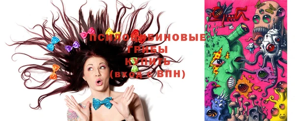 герыч Пестово