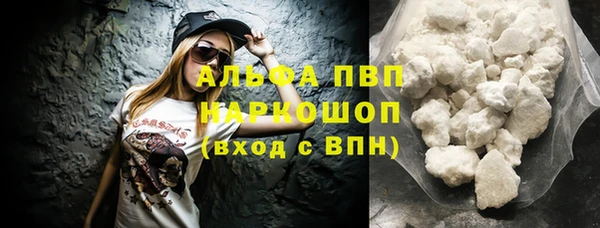 индика Переславль-Залесский