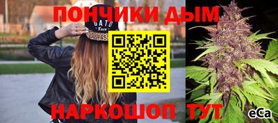 хмурый Абакан