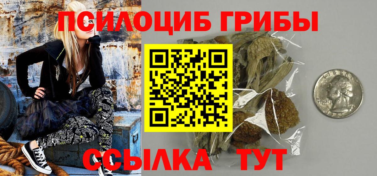 Псилоцибиновые грибы Psilocybe Уварово