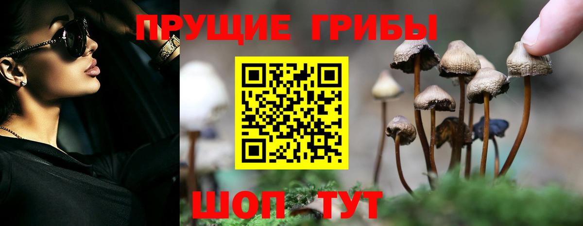 Уварово  Галлюциногенные грибы Psilocybe  Вход с VPN 